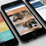 WCAS website design different pages on smart phones