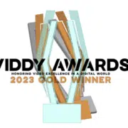 Viddy Award logo